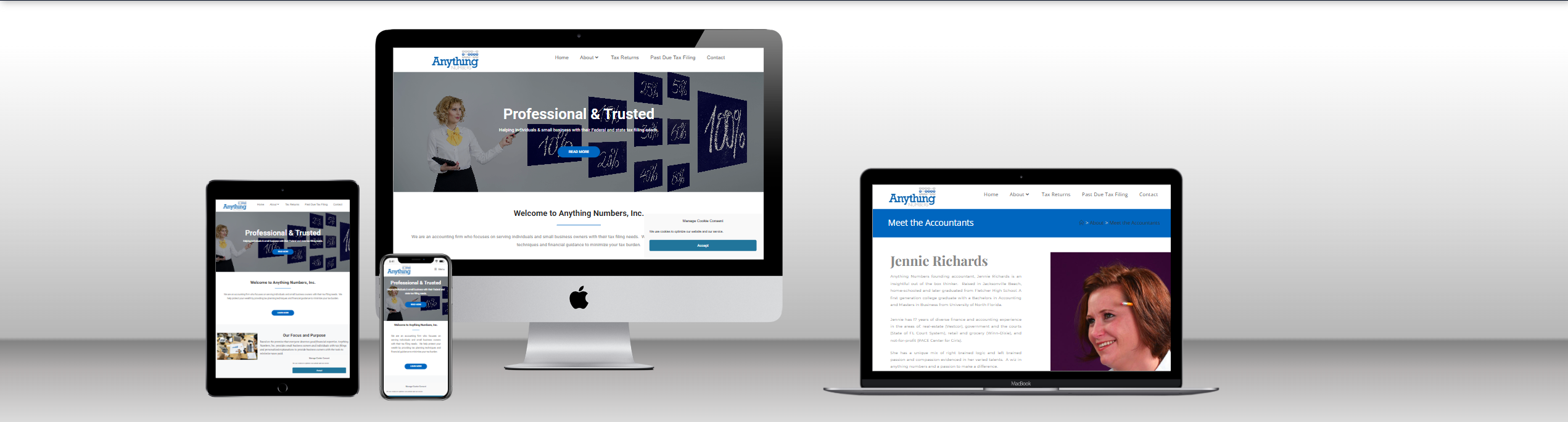 Web Design 13 anythingnumbers